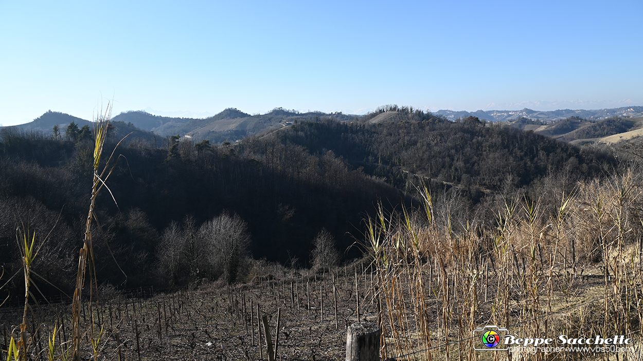 VBS_0680 - Madonna dei Boschi - Vezza d'Alba.jpg